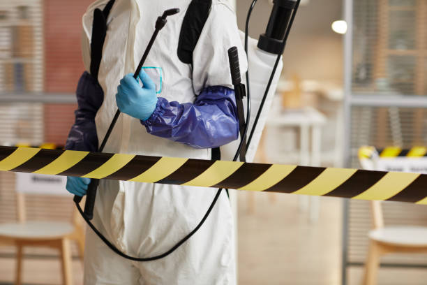 Professional Sewage Cleanup technician working in The Villages, FL